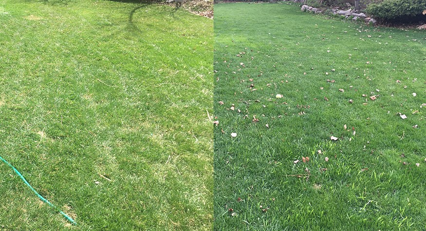 Residential lawn care before and after — York PA